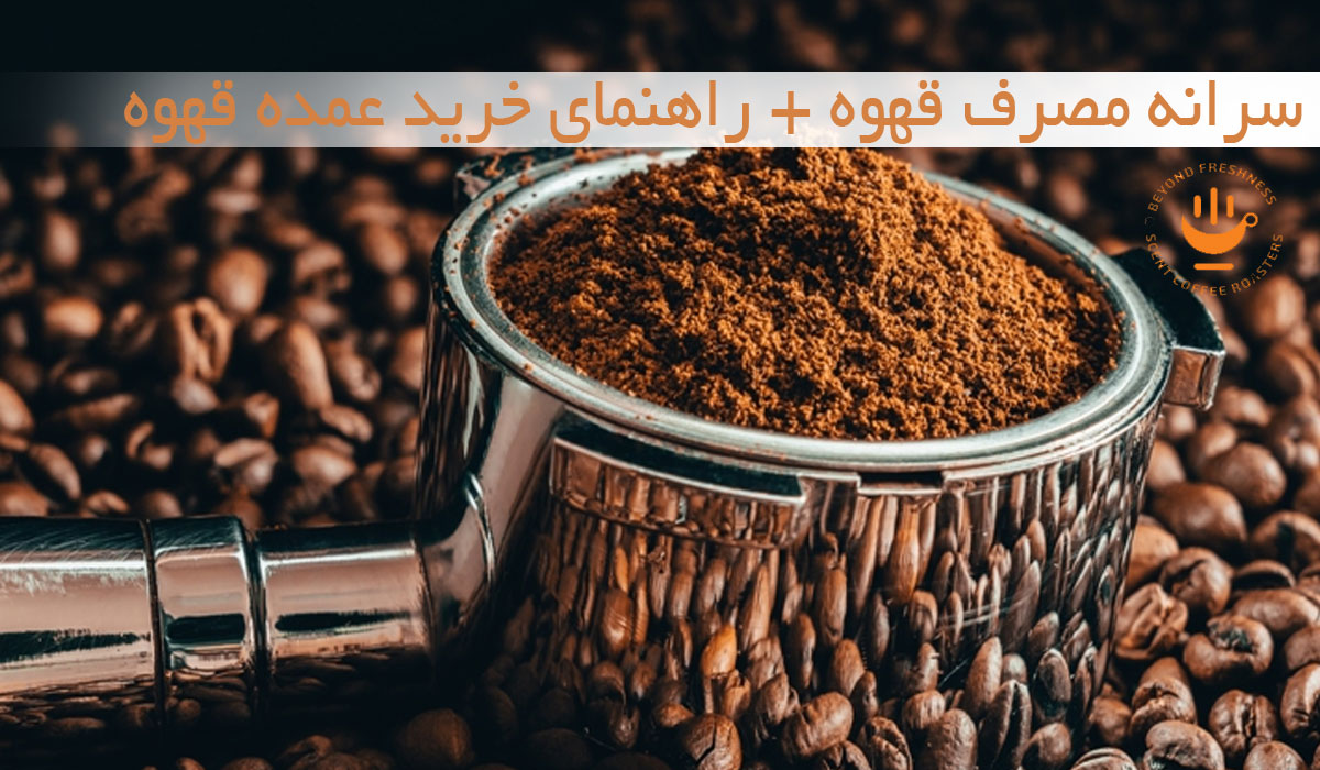 سرانه مصرف قهوه + راهنمای خرید عمده قهوه