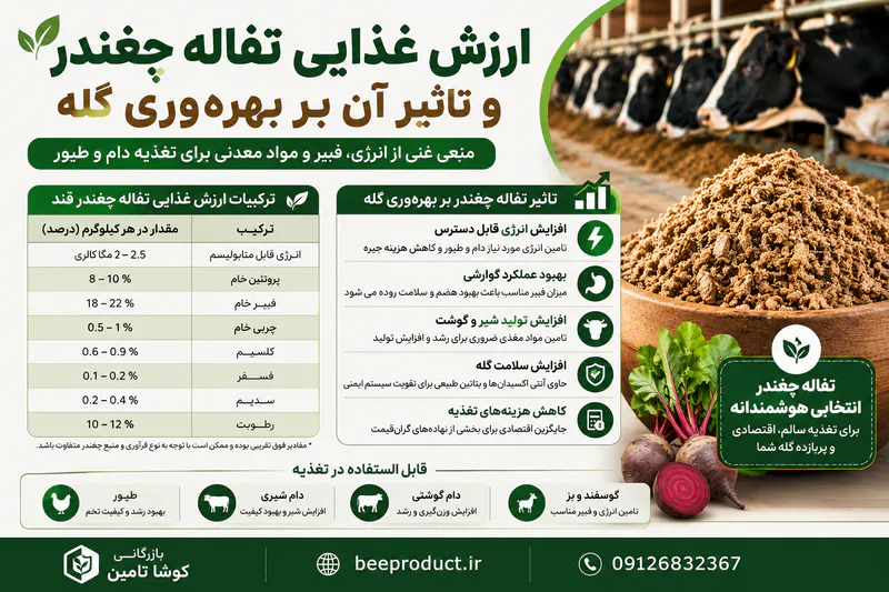 راهکارهای کاهش هزینه خوراک دام با خرید عمده تفاله چغندر قند